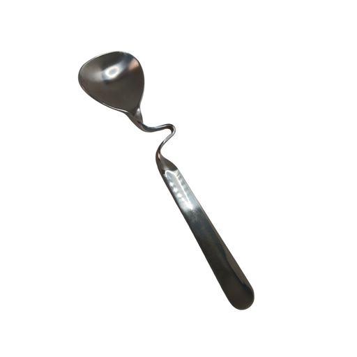 Notched Condiment Spoon